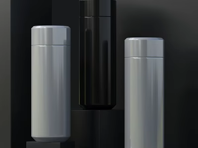 Stylish Thermos Bottles In Different Colors And Designs 3d model