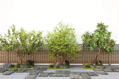 Modern Courtyard Landscape Fruit Tree Pomegranate Tree Orange Tree Apple Tree 3d model