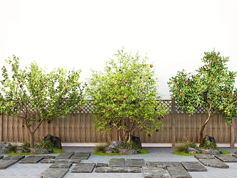 Modern Courtyard Landscape Fruit Tree Pomegranate Tree Orange Tree Apple Tree 3d model