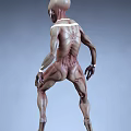 Muscular Male Game Movie Character With Upper Body White Markings Brown Skin And White Wristbands