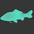 Brown Freshwater Fish With Scaly Texture On Dark Reflective Background