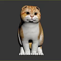 Cute Orange and White Scottish Fold Cat Standing on Dark Reflective Surface 3d model