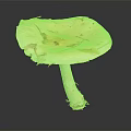 Fresh White Mushroom Vegetable Featuring Cap with Brown Spots and Yellow Fragments on Dark Background