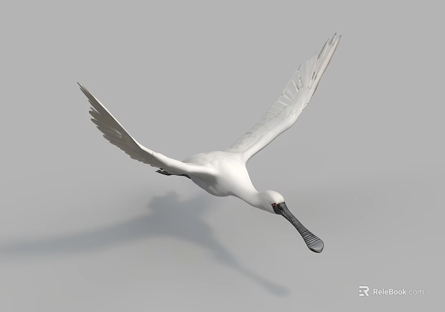 Flying White Bird With Spread Wings Long Beak And Gray Background 3d model 
