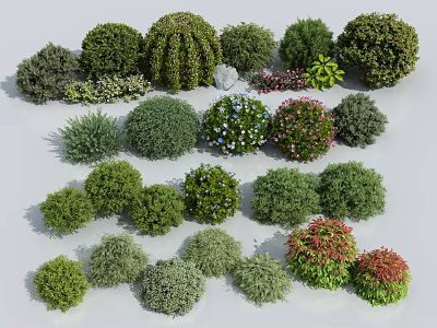 Various Types Of Garden Shrubs With Different Shapes And Colorful Foliage 3d model