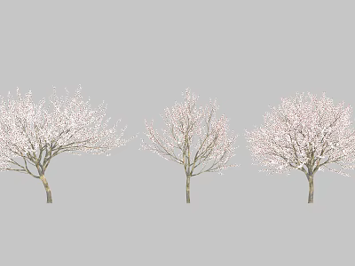 Three Flowering Arbor Trees With Pink Blossoms In Garden Landscape Design 3d model