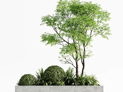 Outdoor Concrete Tree Planter with Green Tree Bushes and Lush Plants 3d model