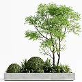 Outdoor Concrete Tree Planter with Green Tree Bushes and Lush Plants