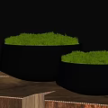 Lush Green Moss Covered Bonsai Potted Plants In Black Pots On Wooden Stump