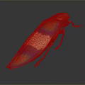 Colorful Iridescent Beetle With Green Blue Yellow Purple Body And Metallic Sheen On Dark Background
