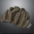 Natural Coral Polyps Skeleton With Fan Shaped Textured Brown White Formation