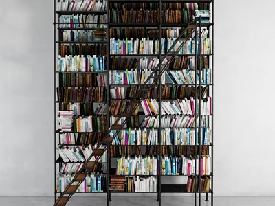 Tall Modern Bookshelf With Multiple Shelves Filled With Colorful And Various Sized Books And Ladder 3d model