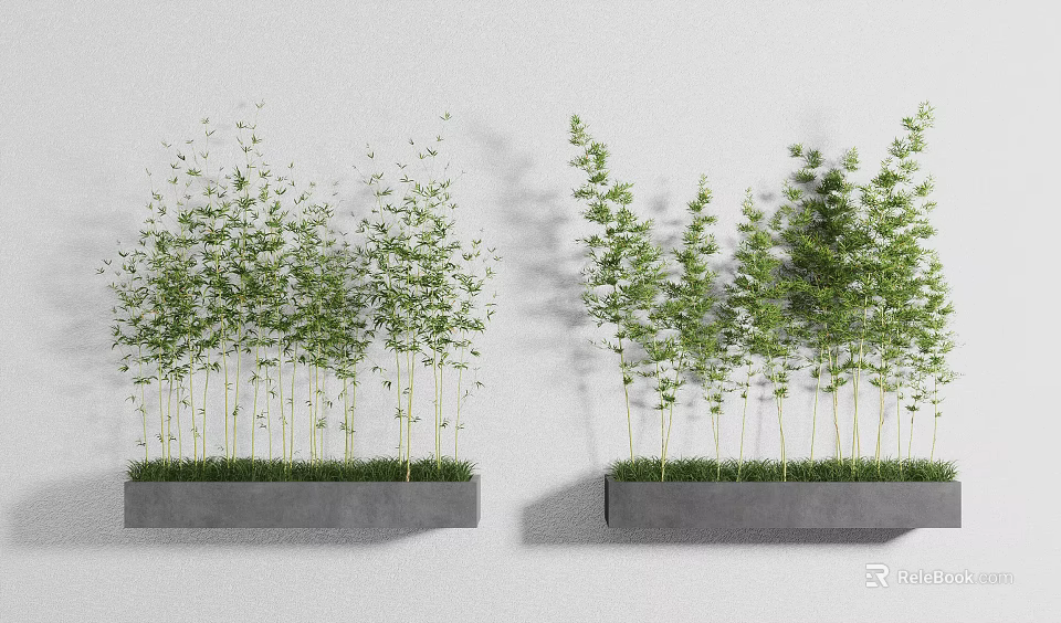 Two Green Bamboo Bonsai Plants in Gray Rectangular Pots on White Wall 3d model