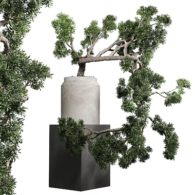 Decorative Bonsai Plant With Lush Green Foliage And Twisted Branches In Concrete Pot 3d model