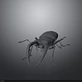 Detailed Stag Beetle 3D Model With Large Mandibles Grayish Blue Color And Dark Background Render
