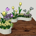 Tulip flowers landscape beautiful Chen 3d model