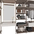 Modern Closet Interior with Hanging Clothes Shelves Drawers Mirror and Storage Boxes