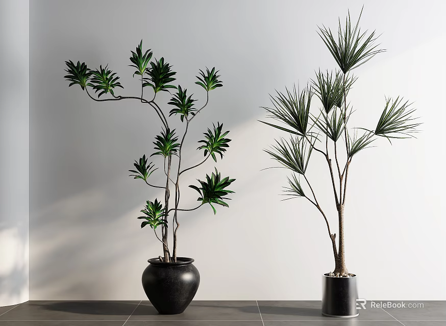 Bonsai Potted Plants With Black Silver Pots And Wide Slender Leaves For Indoor Decoration 3d model 