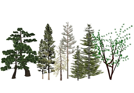 pine trees green planting trees 3d model