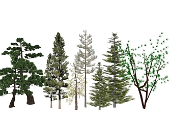 pine trees green planting trees 3d model