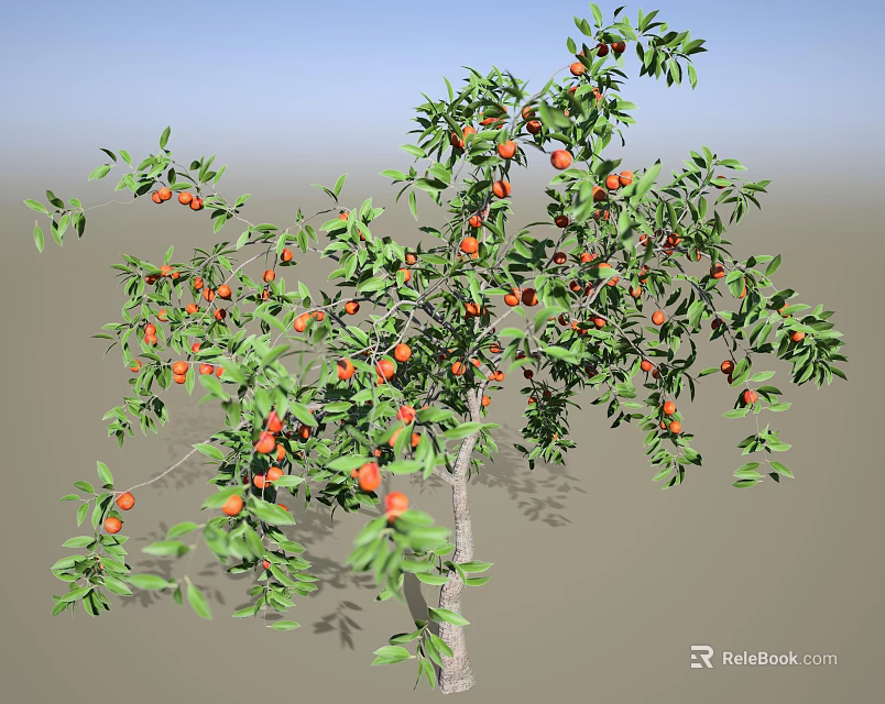 Healthy Crop Tree Bearing Red Fruits and Green Leaves Naturally 3d model 