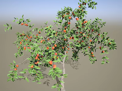 Healthy Crop Tree Bearing Red Fruits and Green Leaves Naturally 3d model