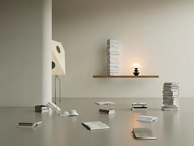 Books Display In Minimalist Space With Shelves And Lamps 3d model