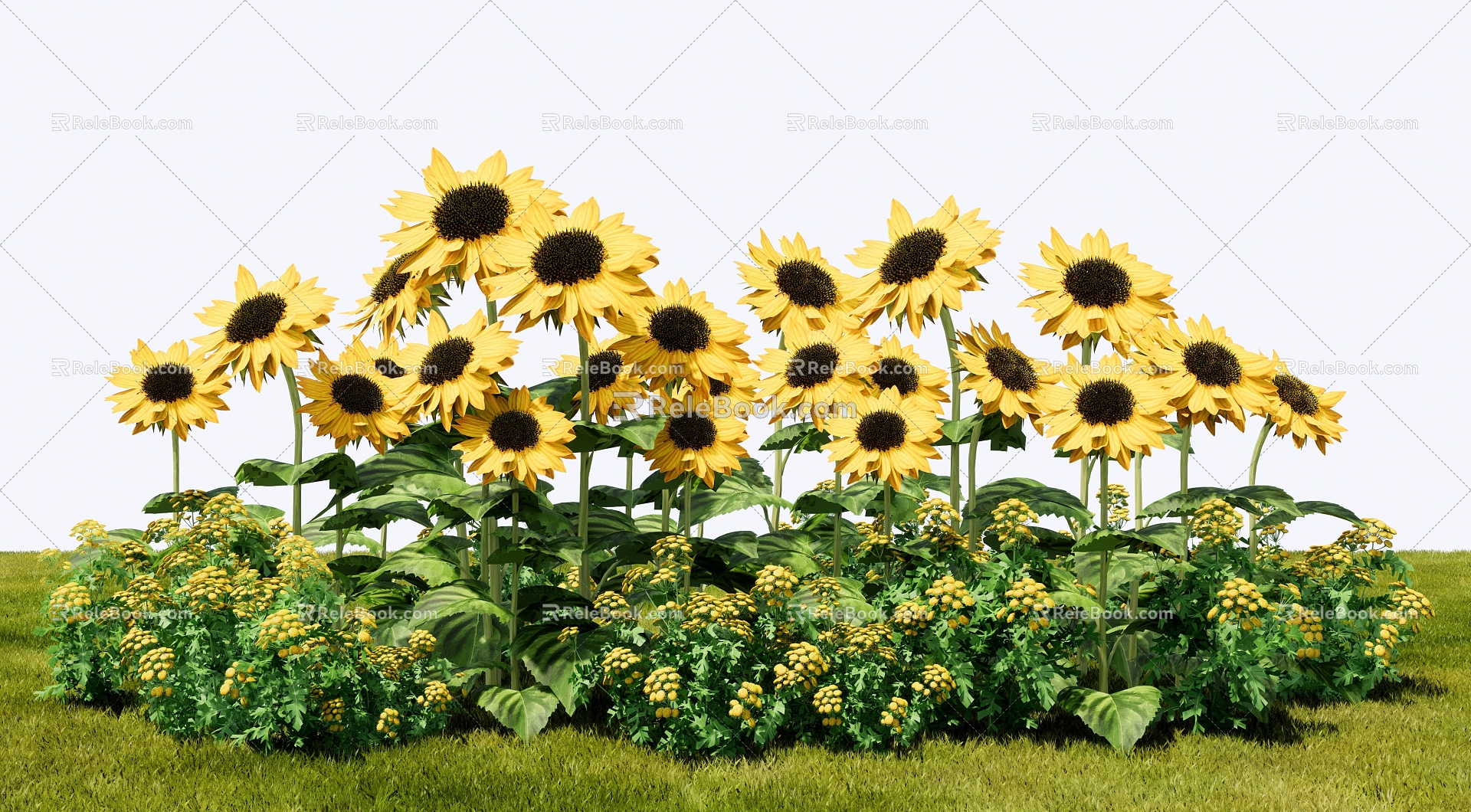 Modern Sunflower Shrub Flowers Flowers Flower Mirror Flower bed 3d model