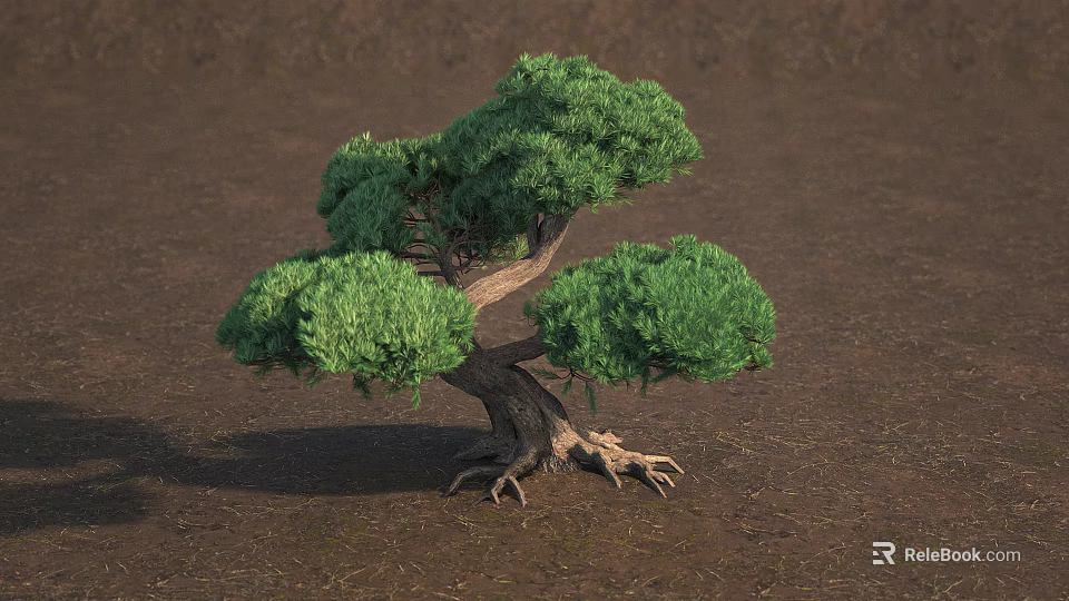 Arbor With Lush Green Foliage Curved Trunk and Exposed Roots on Brown Ground Surface 3d model 