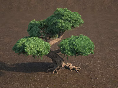 Arbor With Lush Green Foliage Curved Trunk and Exposed Roots on Brown Ground Surface 3d model