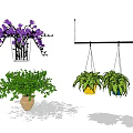 Purple Flowers In Transparent Vase With Green Plants In Terracotta Pot For Interior Decor