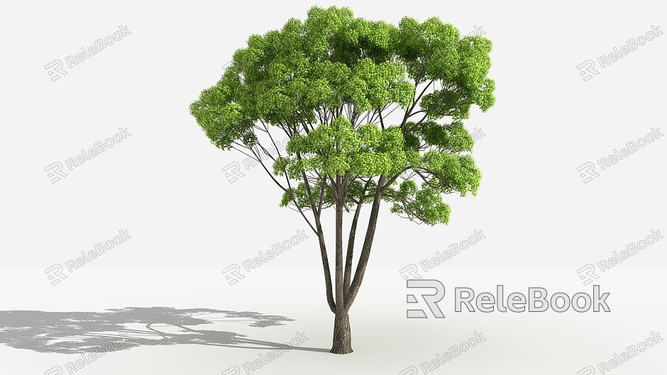 Modern tree small leaf camphor model