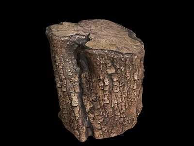 Rustic Wooden Stump Decorative Piece With Natural Bark Texture And Cracked Surface 3d model