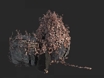 Vibrant Flowers And Lush Plants Covering Natural Rocks With Twisting Vines 3d model
