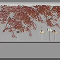 Elegant Window Display With Red Maple Leaves Decoration White Background And Display Stands With Books