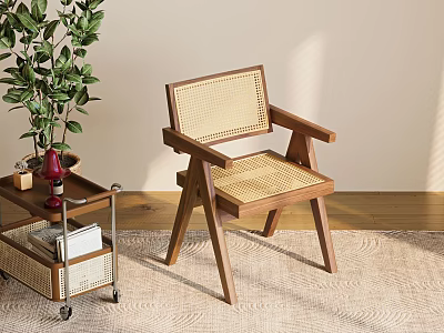 Wooden Dining Chair With Rattan Back Seat Green Plant And Cozy Rug 3d model