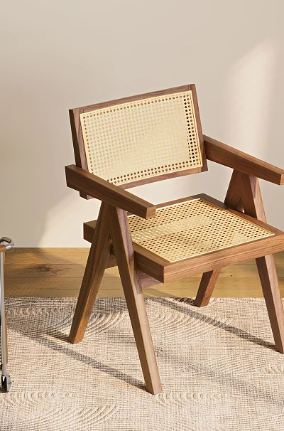 Wooden Dining Chair With Rattan Back Seat Green Plant And Cozy Rug 3d model