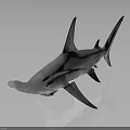 3D Rendered Realistic Hammerhead Shark With Unique Head Structure On Dark Reflective Surface