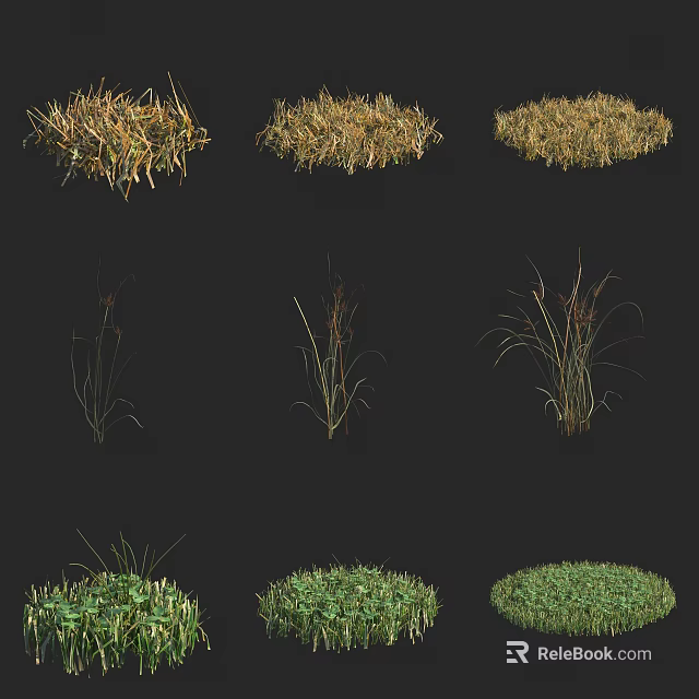 Diverse Grasses and Plants Featuring Varied Foliage Shapes and Colors 3d model 