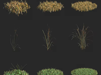 Diverse Grasses and Plants Featuring Varied Foliage Shapes and Colors 3d model
