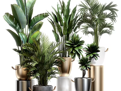 Elegant Potted Plants with Lush Green Leaves in Gold Silver Metallic Pots on Column Stands 3d model