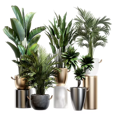 Elegant Potted Plants with Lush Green Leaves in Gold Silver Metallic Pots on Column Stands 3d model