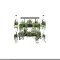 Lush Hanging Basket Plants With Vibrant Green Foliage For Indoor Decor