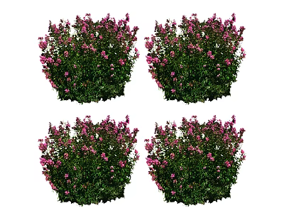 Modern flowers flowers and plants 3d model