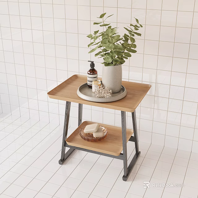 Modern Two Tier Side Table with Wooden Top Metal Frame Potted Plant and Soap Tray 3d model 