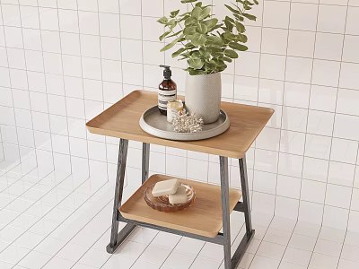 Modern Two Tier Side Table with Wooden Top Metal Frame Potted Plant and Soap Tray 3d model