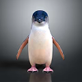 Small Penguin With Black Head White Belly And Orange Flippers Standing On Gray Background