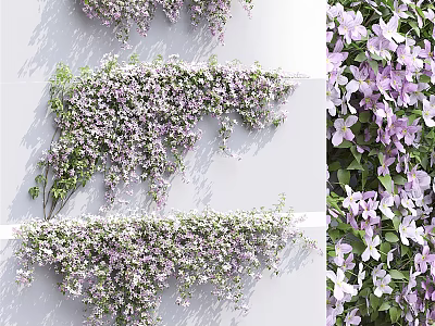 Flowering Climbing Vines With Purple And White Flowers For Wall Decoration 3d model