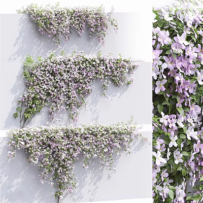 Flowering Climbing Vines With Purple And White Flowers For Wall Decoration 3d model