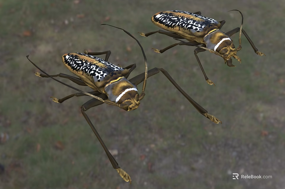 Two Reptiles With Black White Patterns And Long Legs On Natural Ground 3d model 